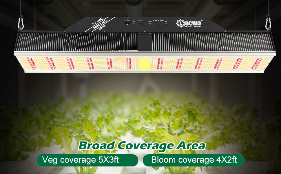 800W Samsung LM281B LED Grow Greenhouse TopLight IP67 | Lucius Swing Label