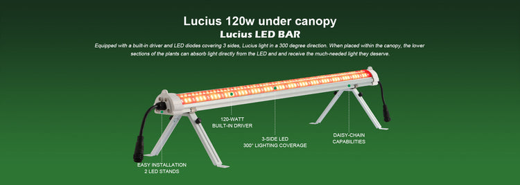Lucius Lighting South Africa | Factory Direct LED Grow Lights