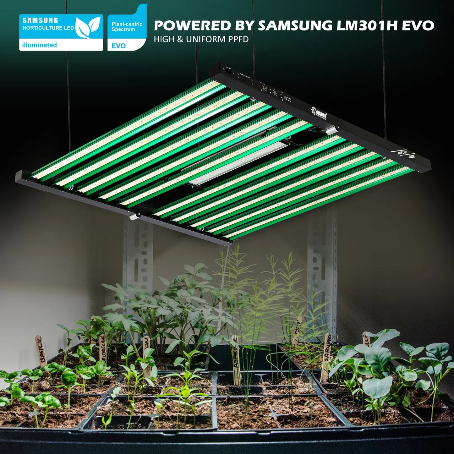1060W Samsung LM301H EVO LED Grow Light +UV+lR | Lucius Blue label