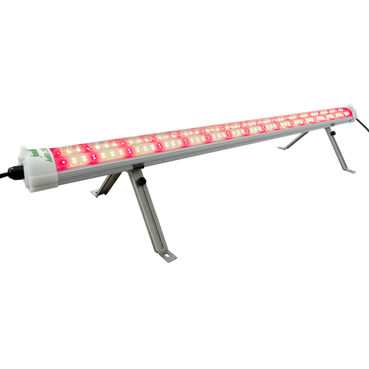 120W Samsung LM301H EVO Under Canopy LED | Lucius