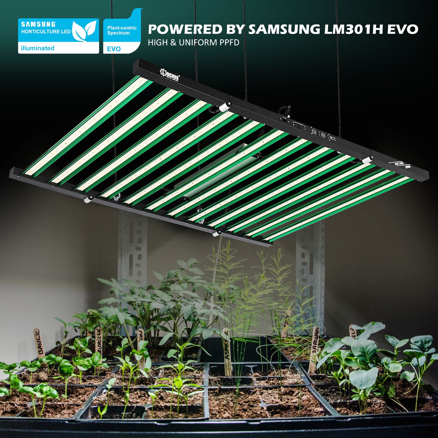 1200W Samsung LM301H EVO LED Grow Light +UV+lR | Lucius Blue label